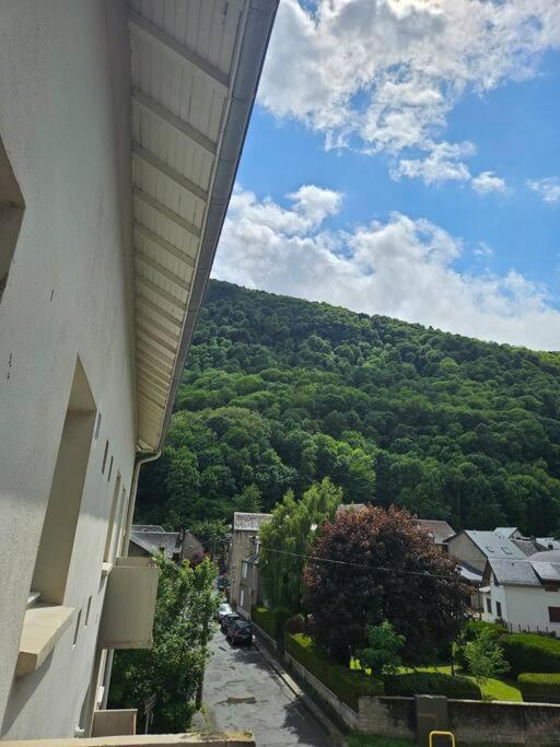 Chez Louise, Appartement T3 A Deux Pas Du Centre Bagneres-de-Luchon Bagian luar foto